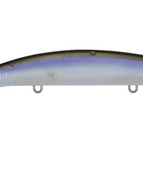 DC95SP33 (IP WAKASAGI)