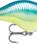 Caribbean Shad (CRSD)