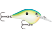 Citrus Shad (CTSD)