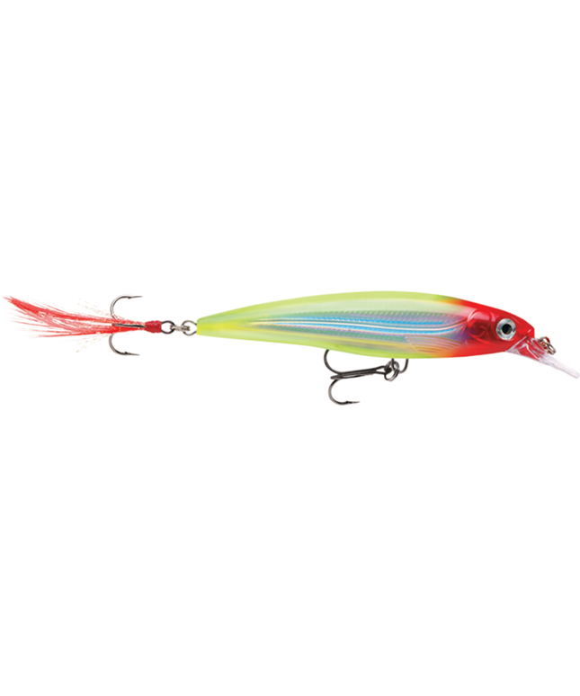 Rapala XR6
