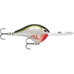Bleeding Olive Shiner (BOS)