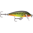 Fire Minnow (FMN)