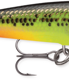 Fire Minnow (FMN)