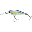 R1438 GSSS GHOST SEXY SHAD