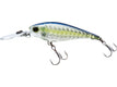 R1438 GSSS GHOST SEXY SHAD