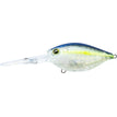 Ghost Sexy Shad