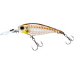 R1438 GSSM GHOST SMELT