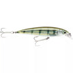 Pinfish PF