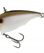GIZZARD SHAD