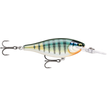 Gilded Blue Gill (GDBG)
