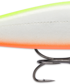 Gilded Chartreuse Orange Belly (GDCO)