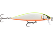 Gilded Chartreuse Orange Belly (GDCO)