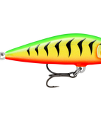 Gilded Fire Tiger (GDFT)
