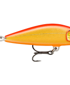Gilded Gold Orange (GDGO)