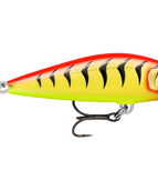 Gilded Hot Tiger (GDHT)