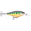 Gilded Perch (GDP)