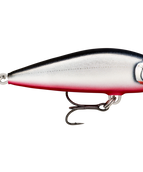 Gilded Red Belly (GDRB)