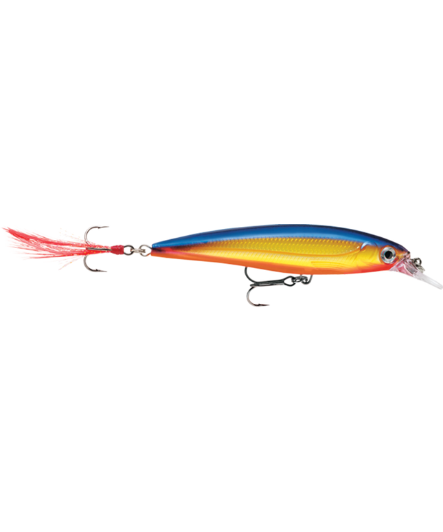 Rapala XR6