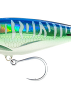 SM-SPANISH MACKEREL