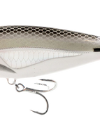 BM- breeding mullet