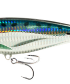 SAR - SARDINE