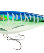 SM - SPANISH MACKEREL