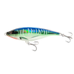 SM - SPANISH MACKEREL