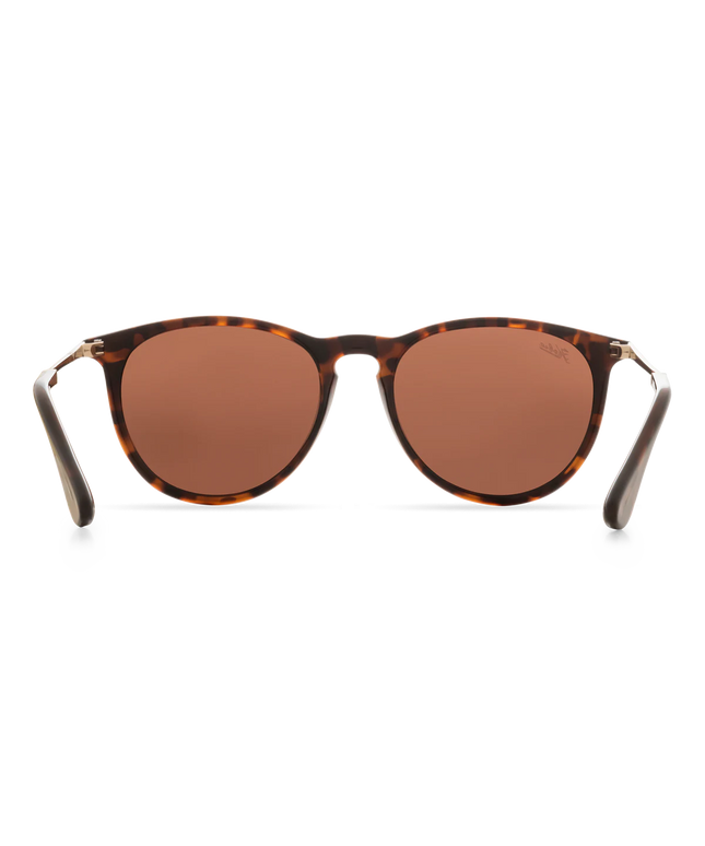 Gafas Hobie Maywood