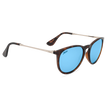 SHINY TORTOISE COBALT MIRROR