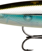 Moss Black Shinner (MBS)