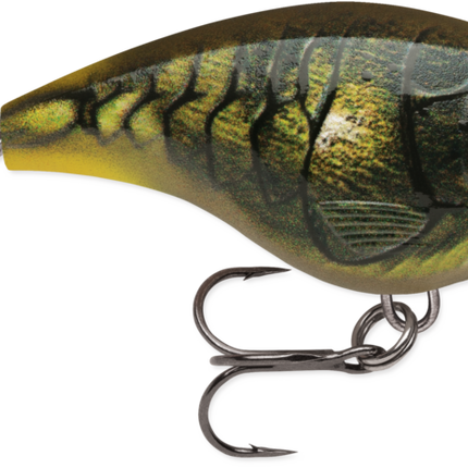 Rapala BXB6