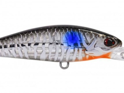 Raptor Shad Floating Marine Sport