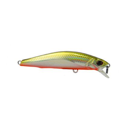 Raptor 70 Floating Marine