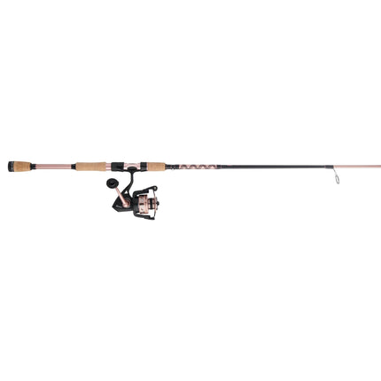 Combo Penn Passion II 3000