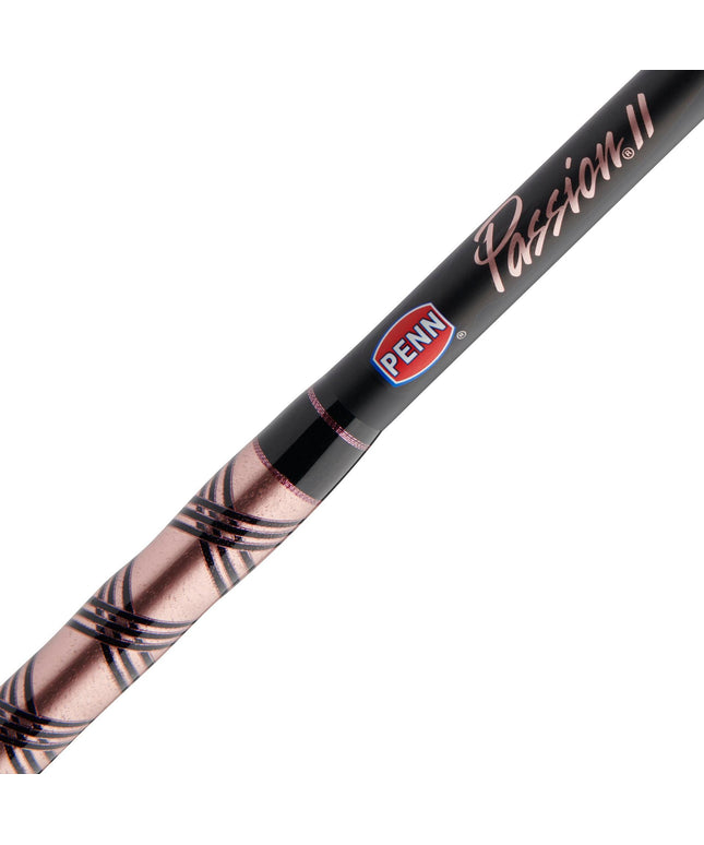 Combo Penn Passion II 3000