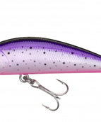 PURPLE RAINBOW TROUT