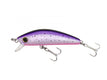 PURPLE RAINBOW TROUT