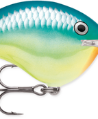 Pearl Grey Shiner (PGS)