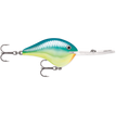 Pearl Grey Shiner (PGS)