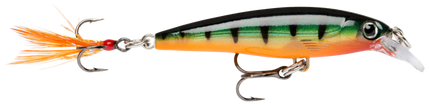 Rapala XR6