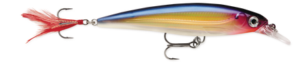 Rapala XR6