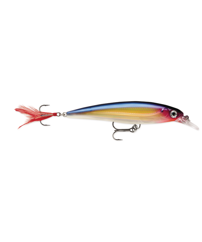 Rapala XR6