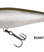 GIZZARD SHAD