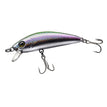 RAINBOW TROUT