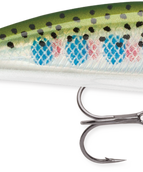 Rainbow Trout (RT)