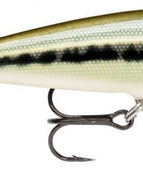Artistic Minnow (AMN)