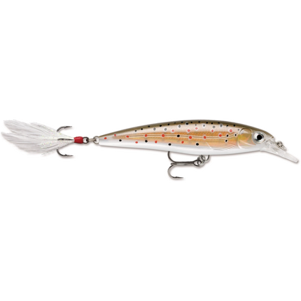 Rapala XR6