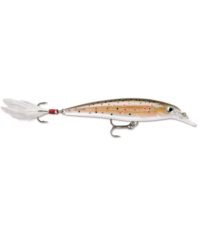 Rapala XR6