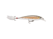 Brown Trout (TR)