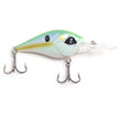 Mondo Shad